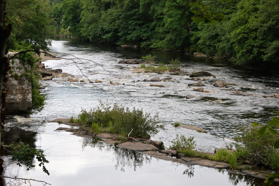 Barnard Castle | Tees | The Fishing Passport