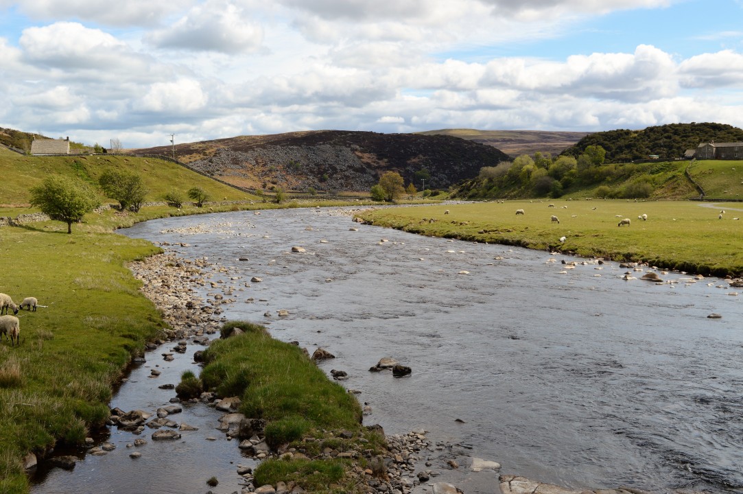 Raby Estate River Tees Tees The Fishing Passport