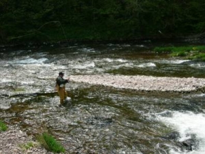 Photo #2 of the The Breconshire Fishery Beat