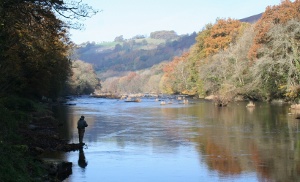 Autumn grayling fishing on the upper Wye.