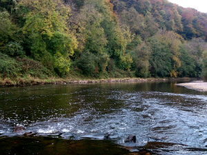 Lower Symonds Yat