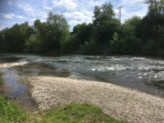 The Carrots Fishery