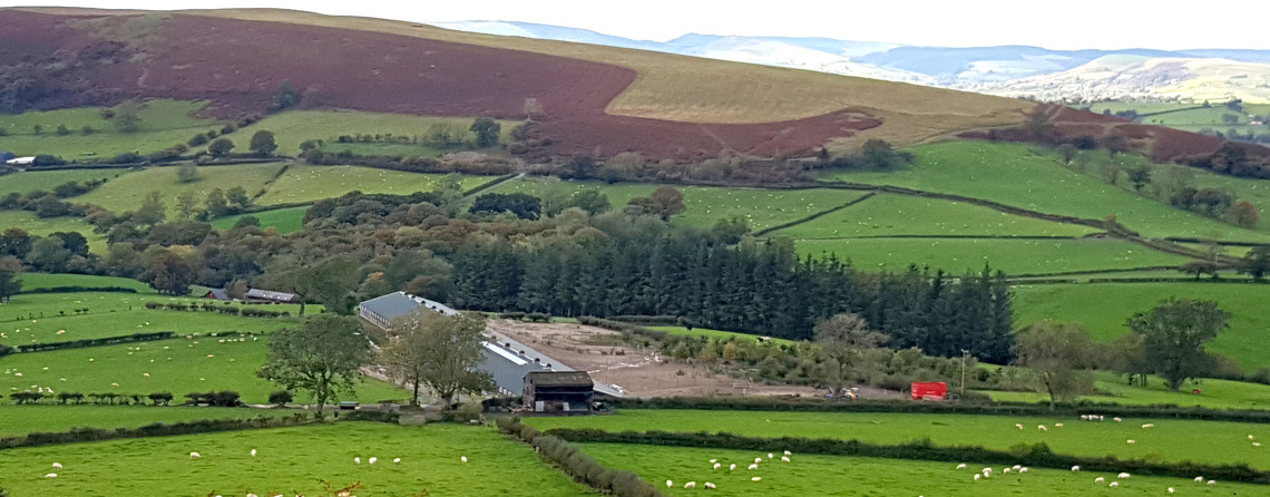 "Free range" poultry unit in the upper Wye catchment.