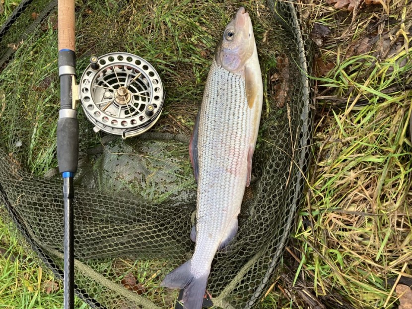 Oliver Burch's Game Fishing Monthly Report - January 2023
