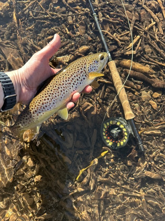 Stroud Fish Oliver Burch's Game Fishing Monthly Report - March 2025 | The Fishing ...