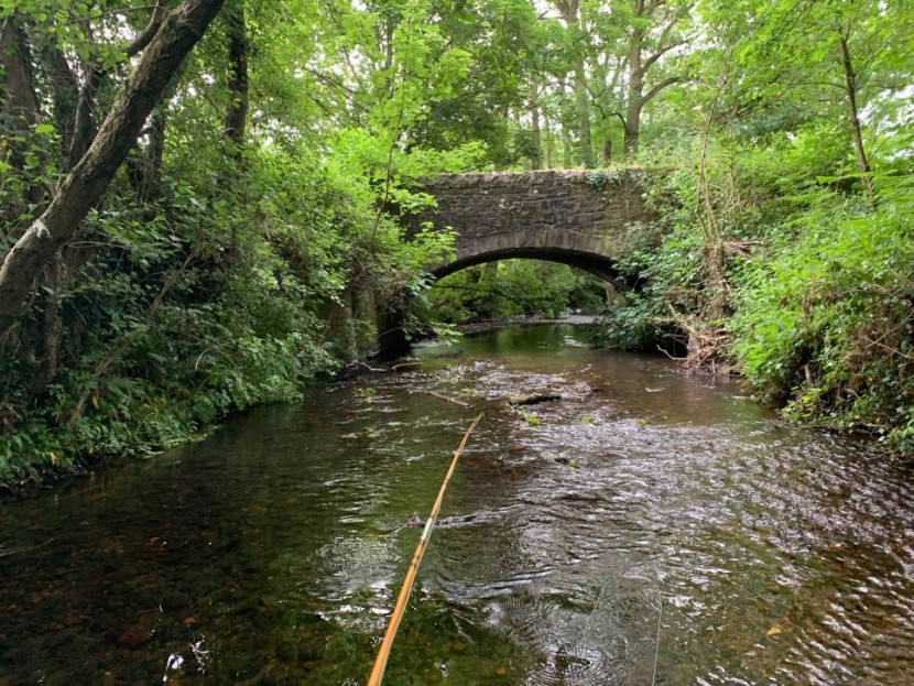 Bideford Brook - NG from Gloucester