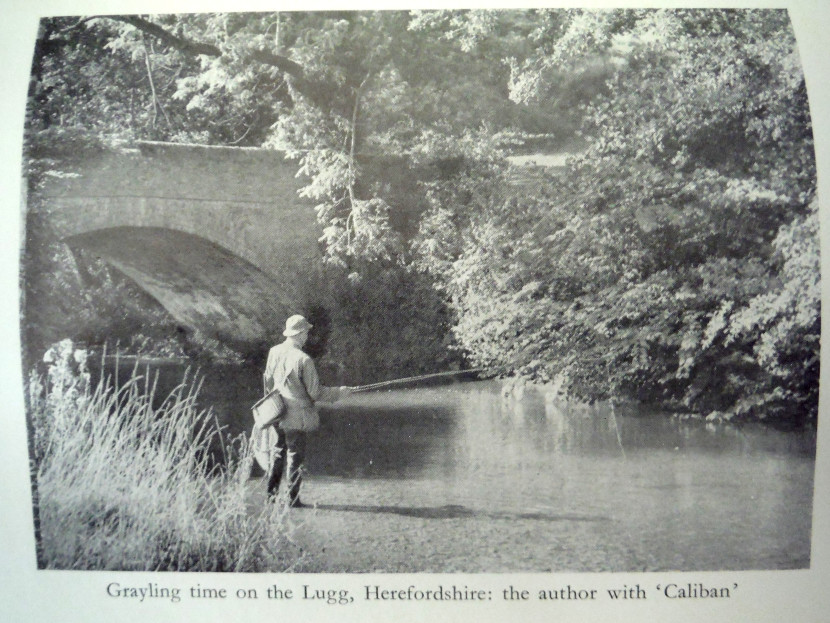 Oliver Burch's Trout and Grayling Monthly Report - August 2020 | The ...