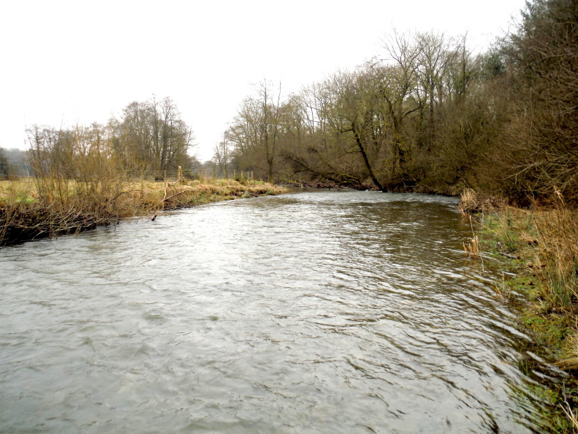Ithon