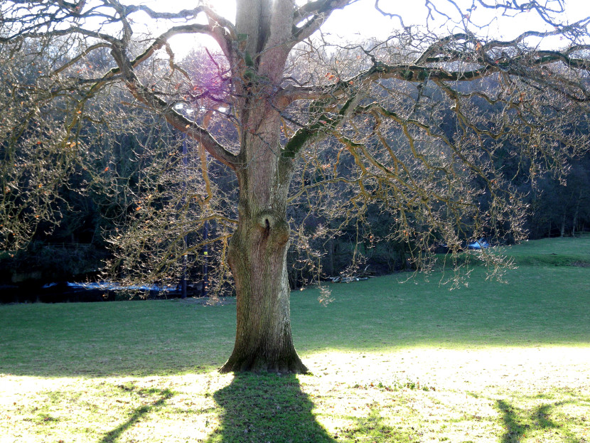 January in the Arrow Valley